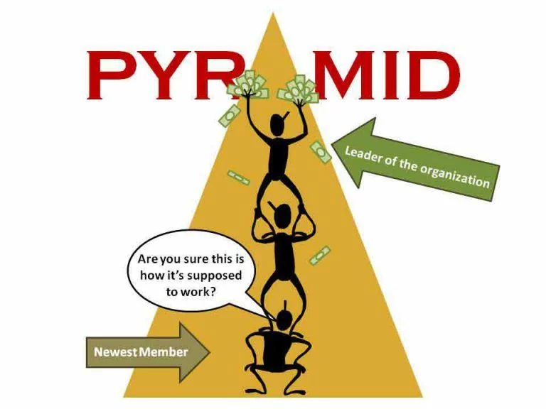 Is CTFO a Pyramid Scheme
